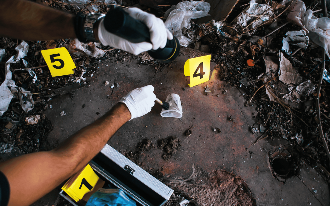Fire forensic investigation