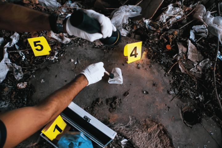 Fire Investigation Services